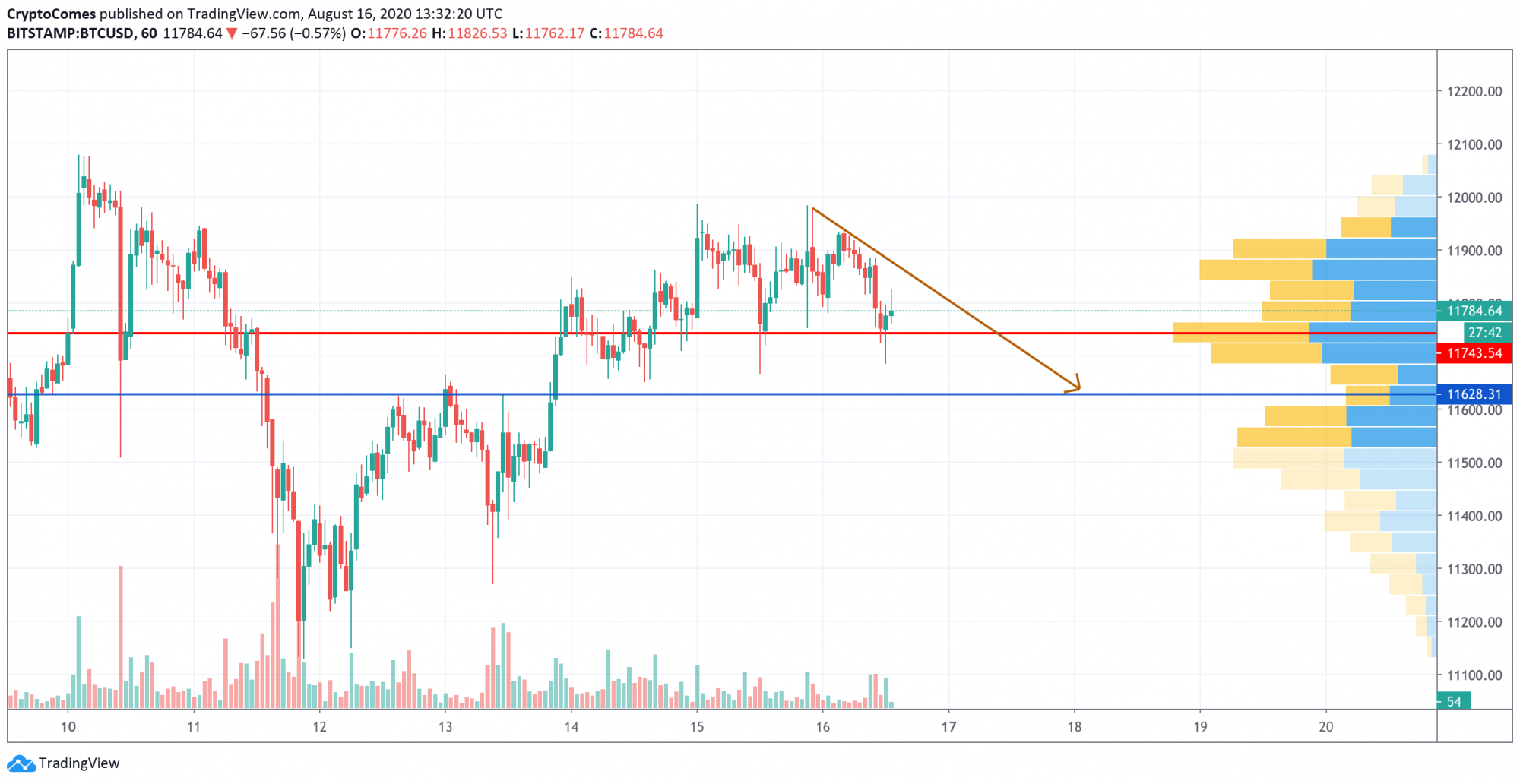 Bitcoin visual data 4